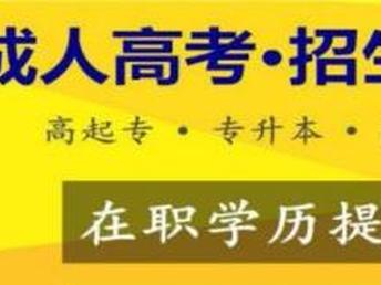 成人本科报名机构概览，多种途径供选择