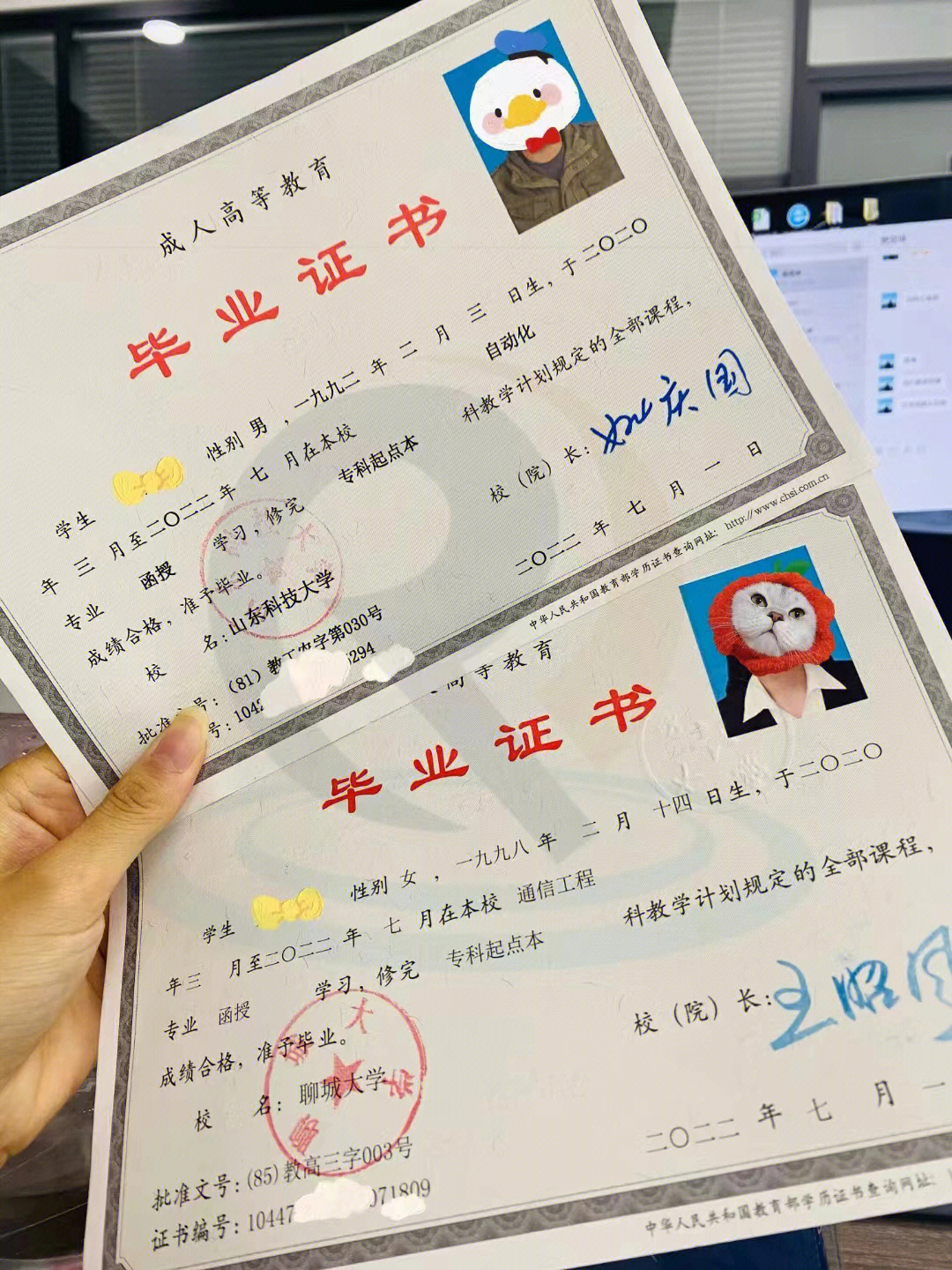 如何提升成人大专学历至本科，专升本攻略