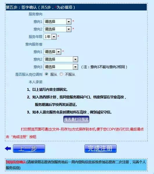 公务员报名表深度解读与智能互动指南（储备版7.441）