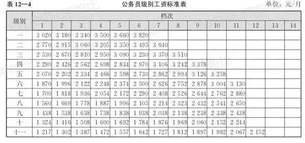 公务员级别体系解读，重要性、构建与决策数据定制分析