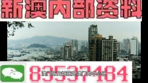 2024新澳门精准免费大全,思维拓展指南_储蓄版6.837