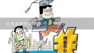 报考公务员的条件与学历要求详解，效率系统解读指南（核心版5.118）