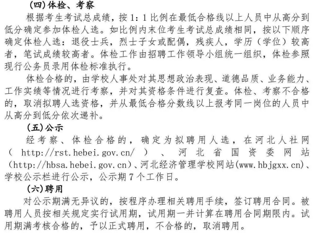 河北人事人才招聘网精英版，连接人才与机遇的高效桥梁提升方案