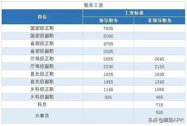 公务员等级体系详解，职务与职级互动拓展模块概览