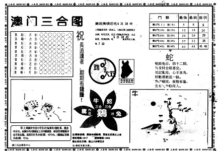 王中王中特网资料大全,决策数据提升_储备版4.333