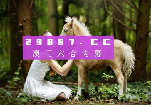 4949澳门免费精准大全,数据优化服务_体验版5.673