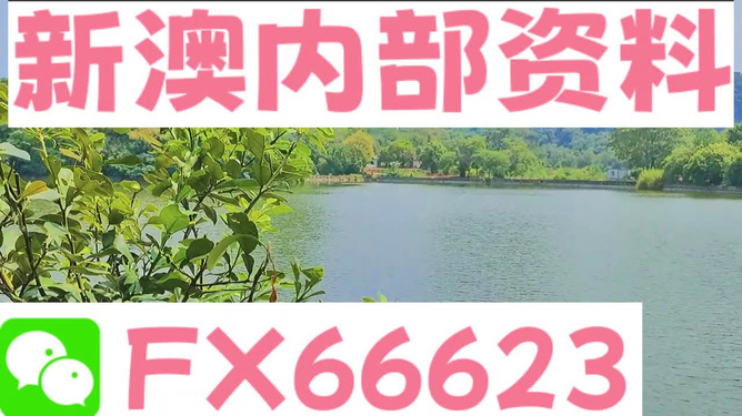 新澳精准资料免费提供网站有哪些,前沿科技增强_简易版8.402