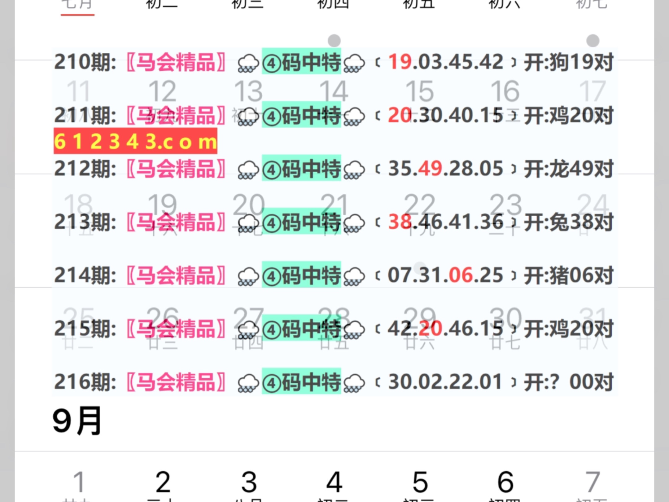 2024年新奥门天天开彩,科技成语分析落实_创意版6.729