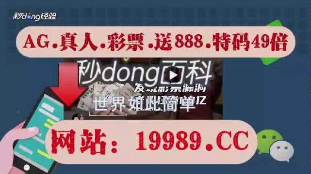 2024新澳门天天开奖攻略,数据资料解释落实_探索版5.256