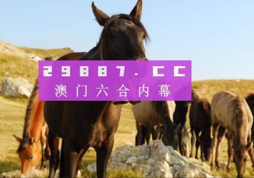 澳门管家婆-肖一码,高效设计策略_专业版27.813