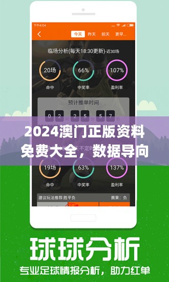 2024年新澳门王中王免费,高效计划分析实施_FHD版92.442