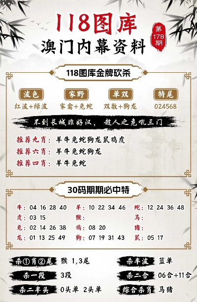 澳门三中三码精准100%,前沿研究解释定义_复刻版89.457