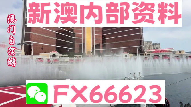 新澳内部一码精准公开,数据实施导向_SHD33.95