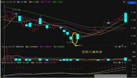 语文肯定句表达技巧与口诀，提升表达能力之道