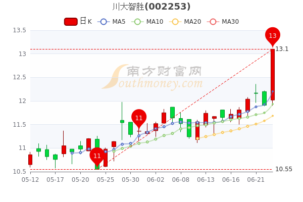 川大智胜股票股，深度探索与洞察