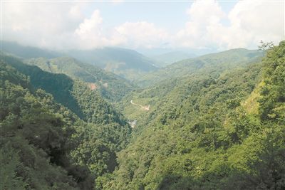 哀牢山，云南神秘之地的探秘之旅