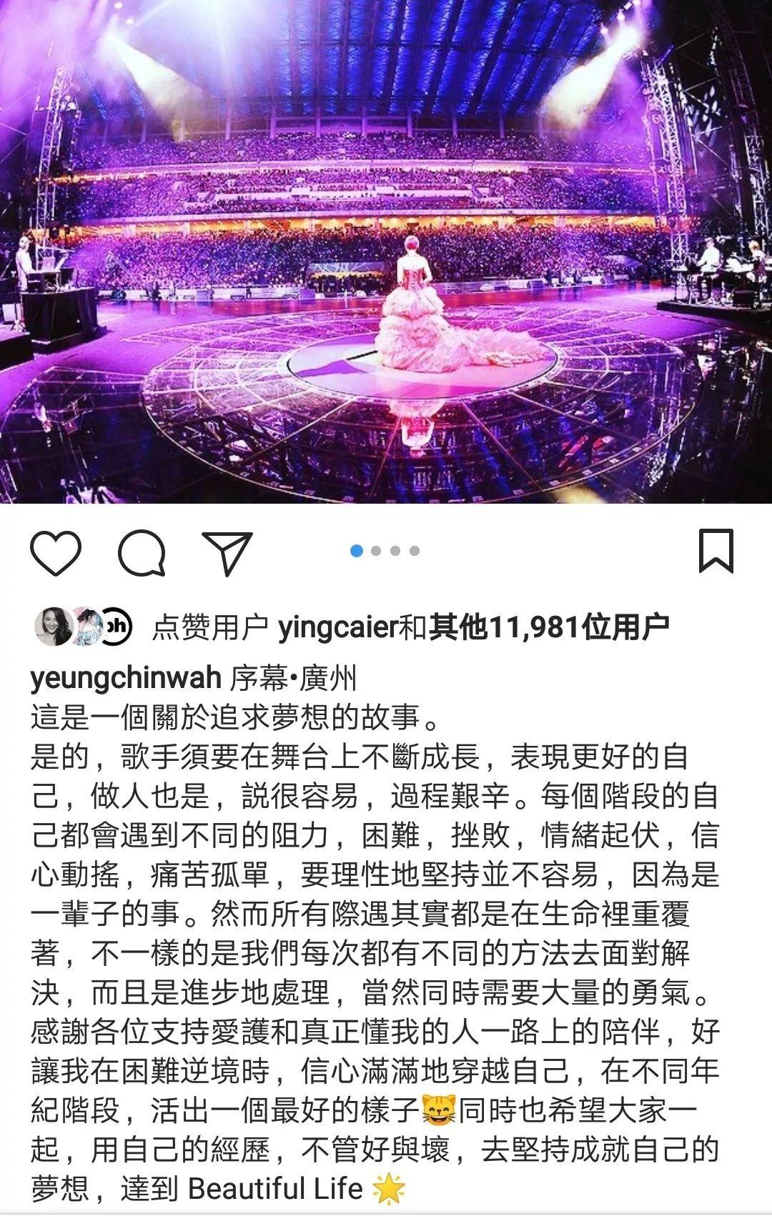 杨千嬅野孩子情感深度解读，探寻歌曲中的情感表达