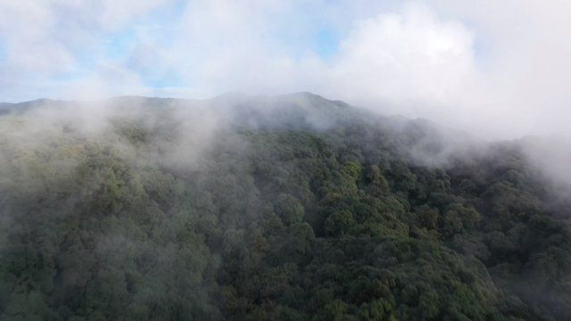 哀牢山，自然王国与文化瑰宝的神秘之旅简介