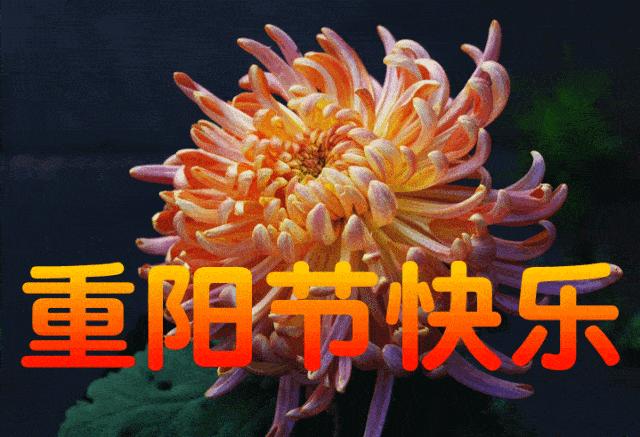 重阳节寄怀，七律寄情诗