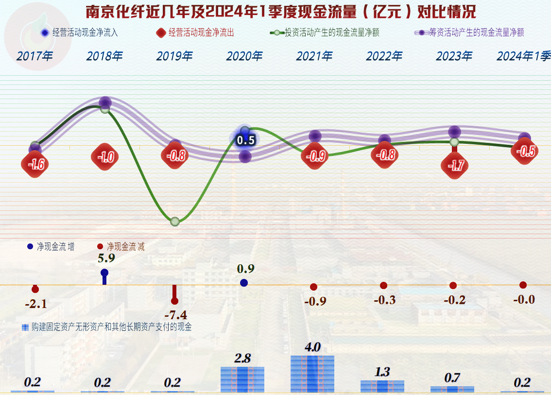 南京化纤增长前景展望，市场分析与展望