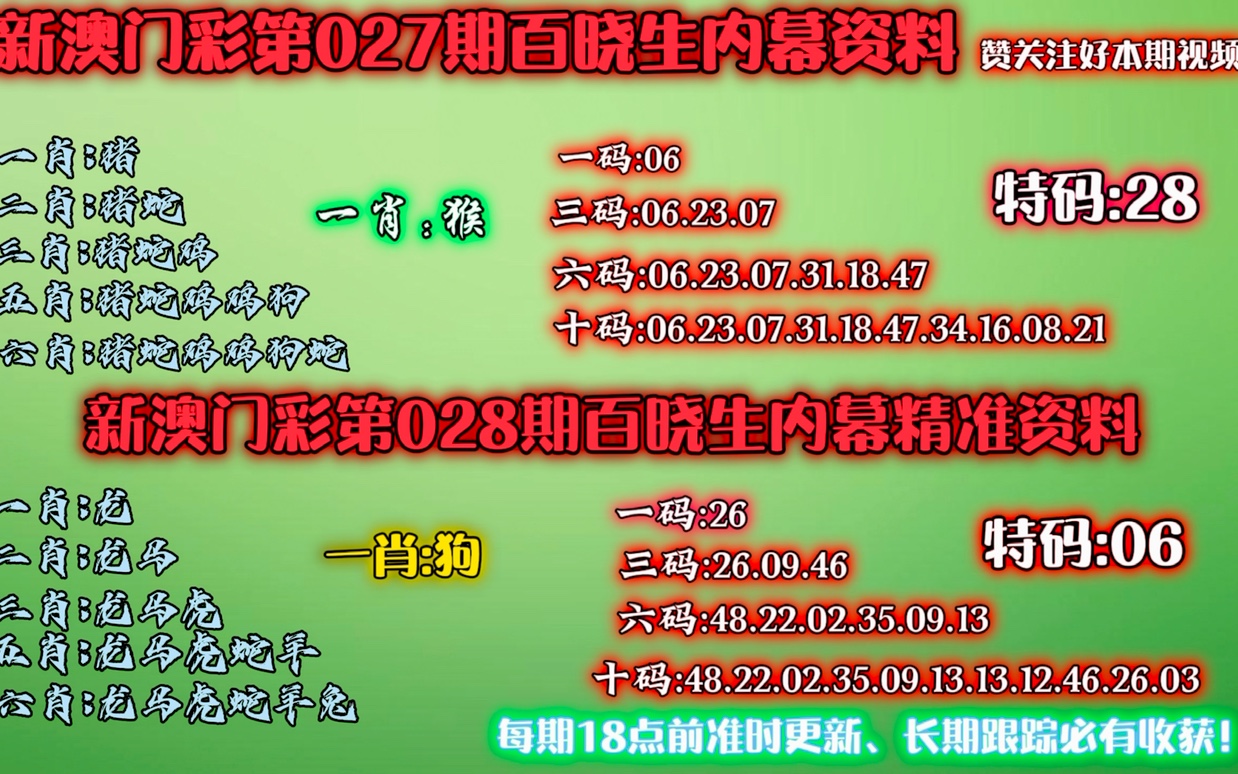 内部资料一肖一码，犯罪面纱下的法律制裁揭秘