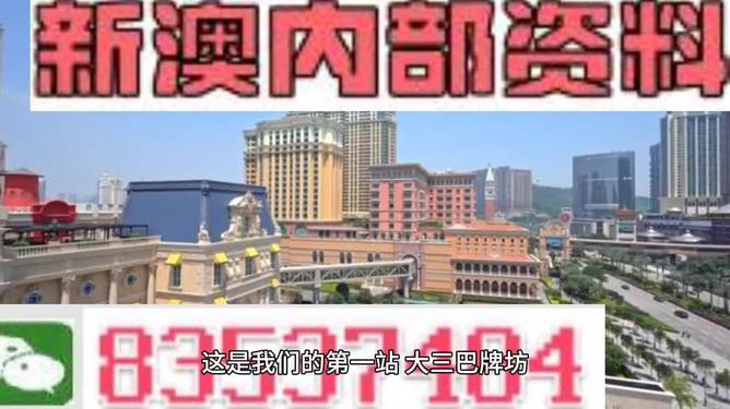 澳门正版免费大全背后的犯罪警示与反思（2024年）