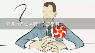 公务员调剂岗位详解，专业不符能否调剂？探讨与解析