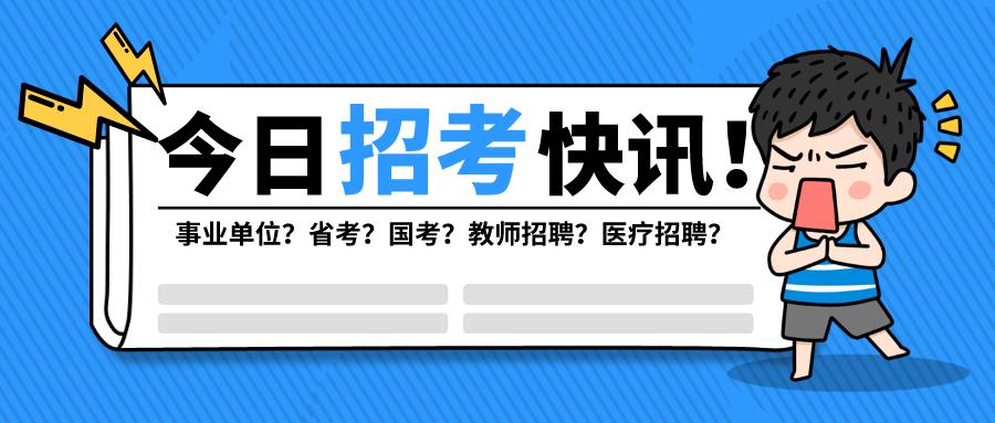 公务员调剂查询系统，实现公平高效调配与管理