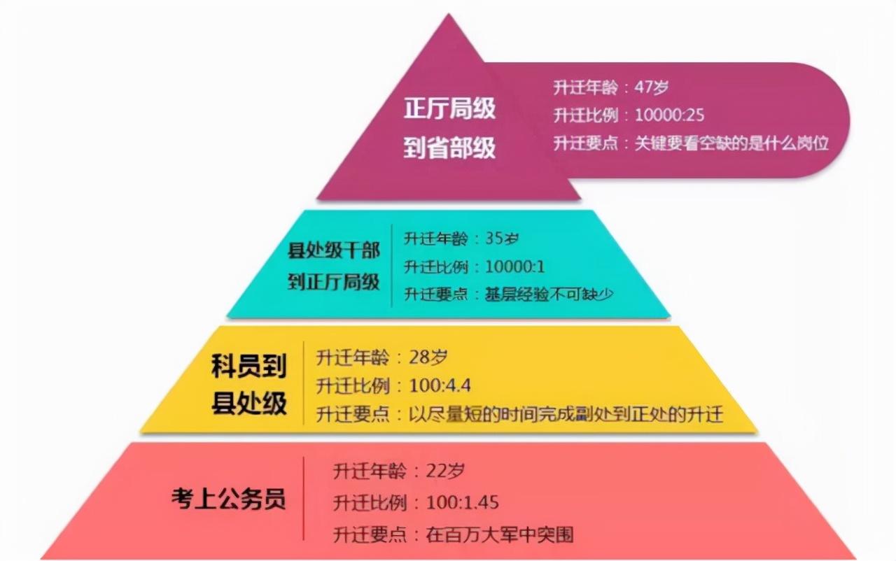 公务员考试年龄政策变迁，时代背景下的放宽与考量