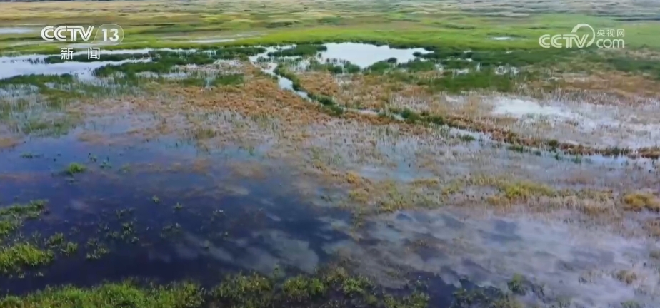 湿地保护与生态环境治理成果显著，开启新里程碑时刻