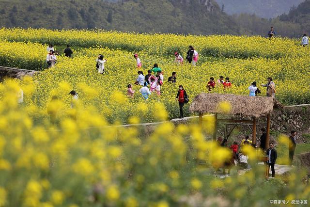 多地推行乡村游，激活农村经济新活力