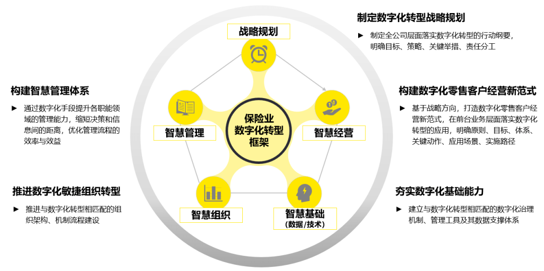 保险行业数字化改革与理赔程序简化研究