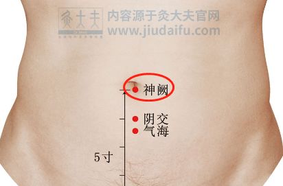 中医调理脾胃秘籍，基本方法与技巧全解析