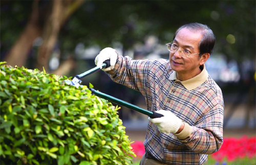 老年人日常保健与养生良方