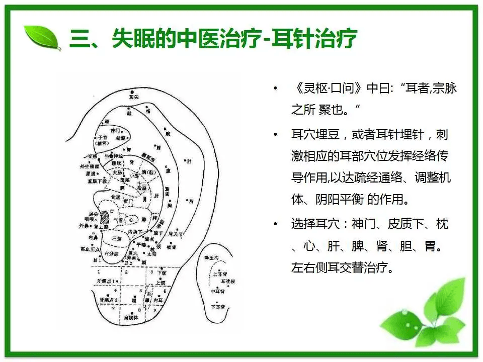 传统中医刮痧对健康功效的深度解析