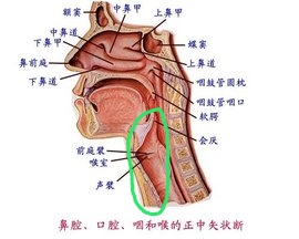 喉咙肿痛引发呼吸困难的紧急救援指南