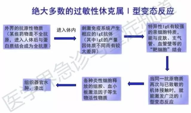 家庭急救措施，预防休克发生的关键步骤