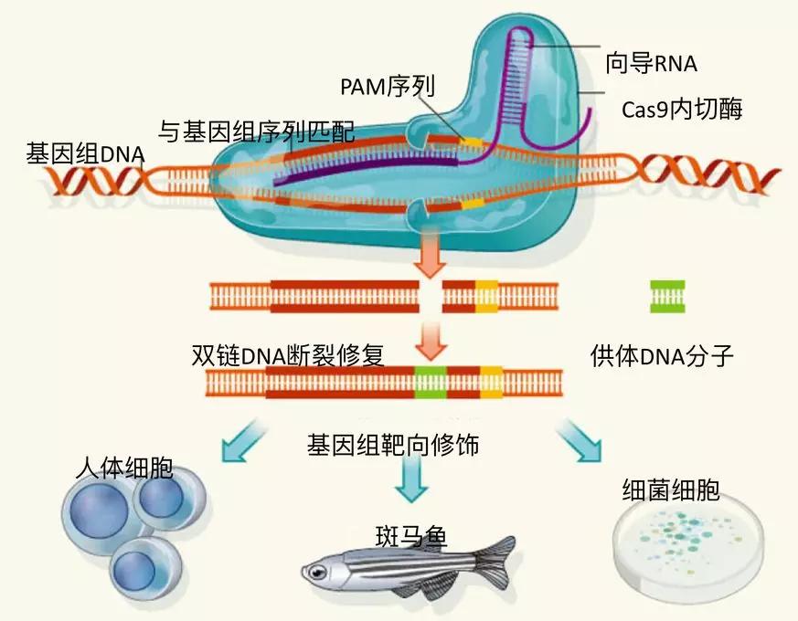 数字化教育工具助力学生自主学习能力提升的策略