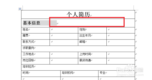 软件开发工程师与招聘信息编辑交融，职场新趋势