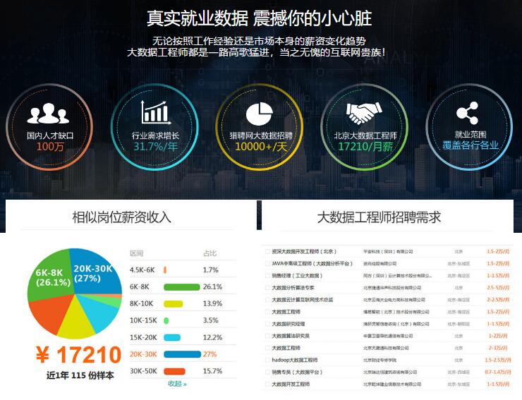 大数据工程师职位搜索攻略，行业趋势与求职策略