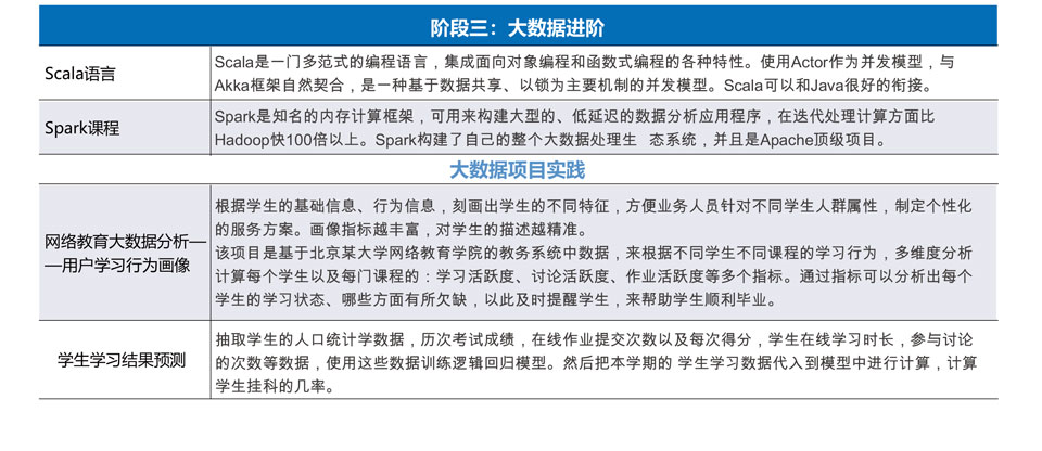 大数据工程师职称，专业成长与职业路径探索