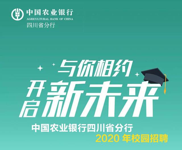 农业银行四川招聘概览，职位、要求与申请指南