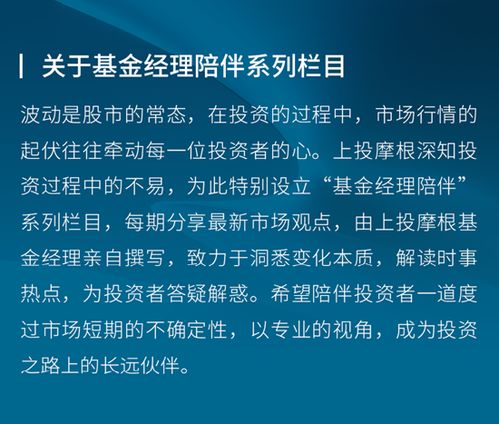 基金业务经理招聘要求，构建专业团队的核心要素揭秘