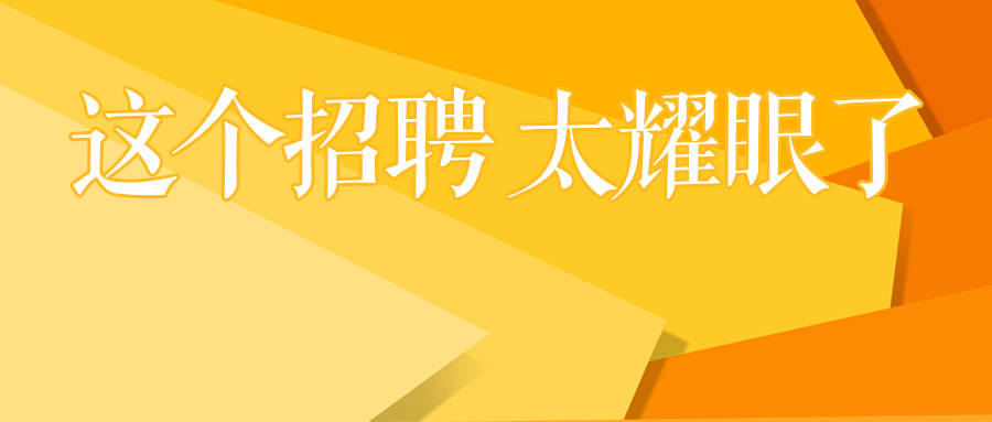 税务招聘官网最新招聘动态全解析，职位信息、要求及趋势解读