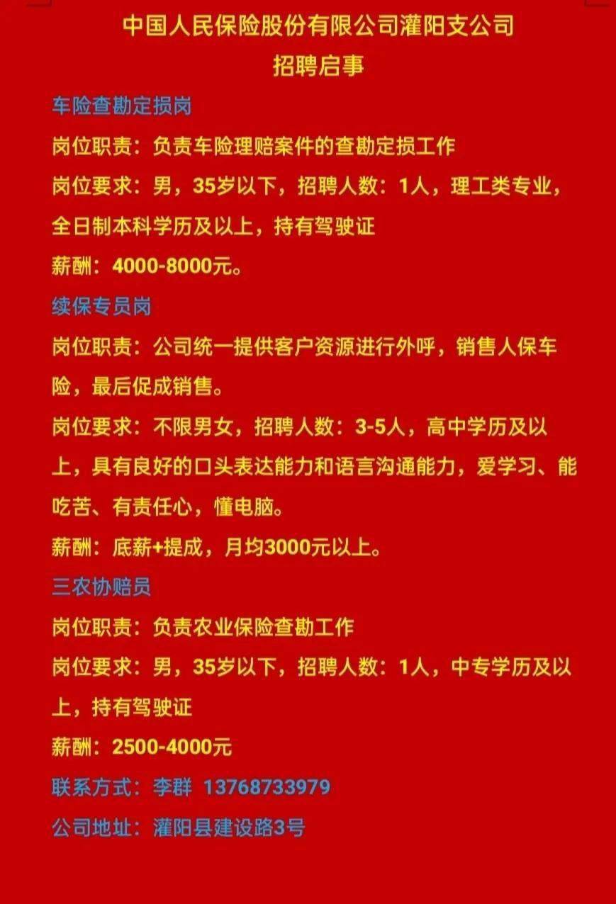 保险公司内勤招聘，构建高效团队的关键之举